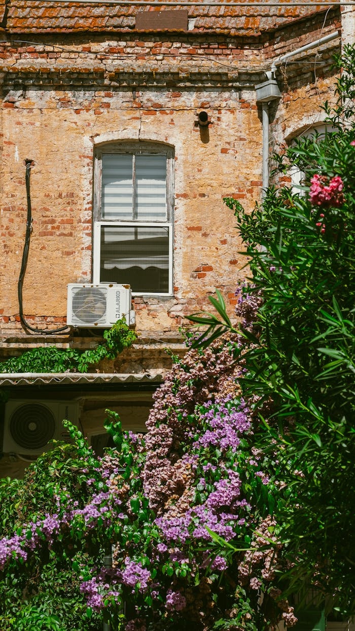 Old brick building facade with lush green ivy and blooming flowers under a sunny sky.