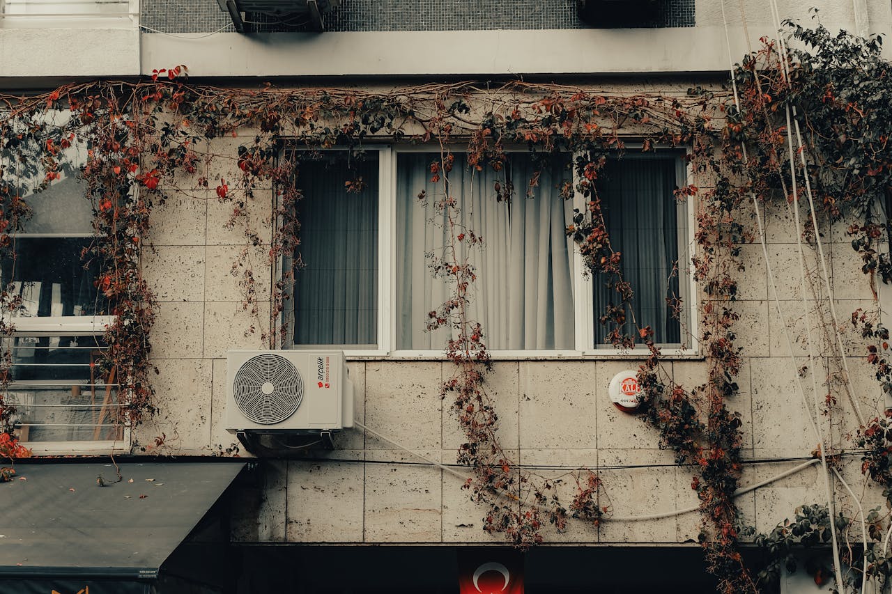 Facade of an urban building with vines and air conditioner, autumn setting.