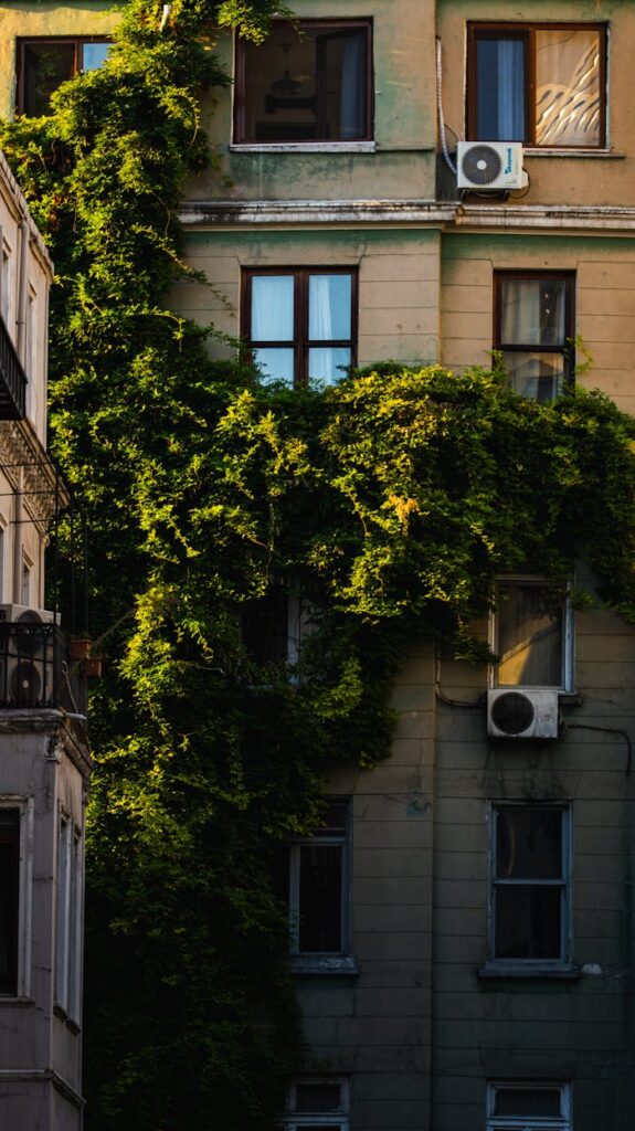 pexels photo 34066313 A city building facade overgrown with lush green ivy, bathed in sunset light.